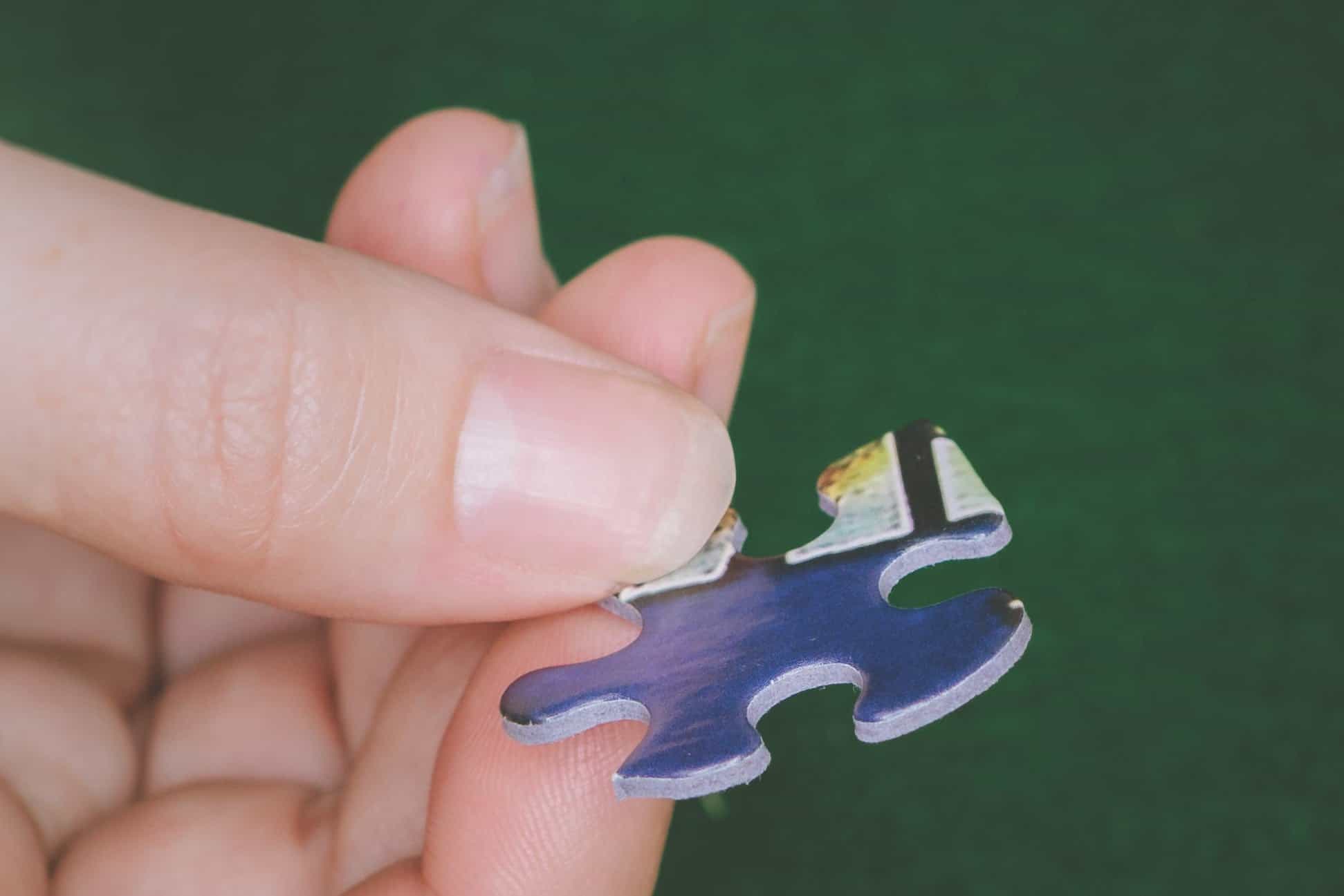 Friends in Autumn (189pz) - 1000 Pieces